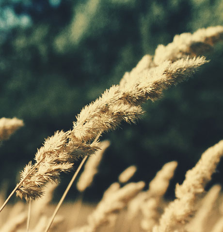 ddos攻击器安卓ios下载